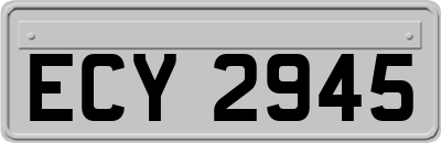 ECY2945