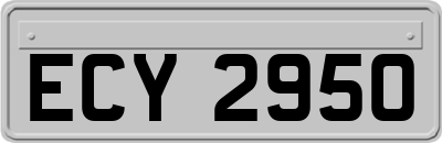 ECY2950