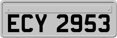 ECY2953