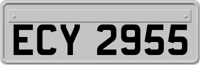 ECY2955
