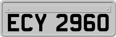 ECY2960