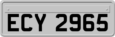 ECY2965
