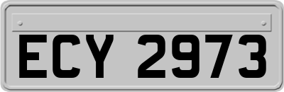 ECY2973