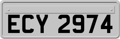 ECY2974