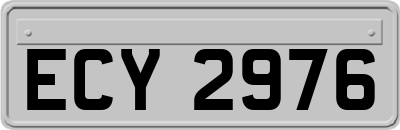 ECY2976