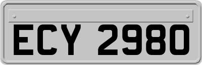 ECY2980