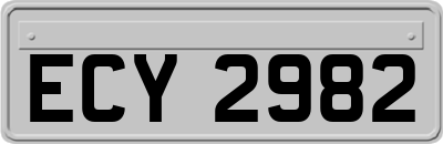 ECY2982