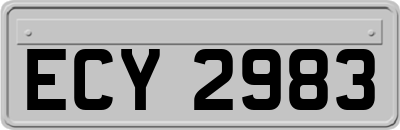 ECY2983