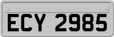 ECY2985