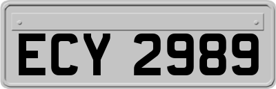 ECY2989