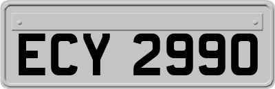 ECY2990