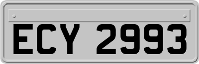 ECY2993