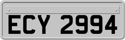 ECY2994