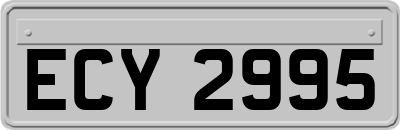 ECY2995