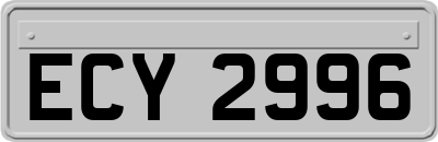 ECY2996