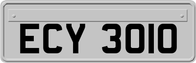 ECY3010