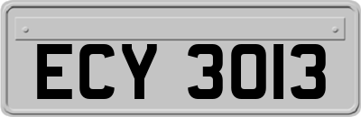 ECY3013