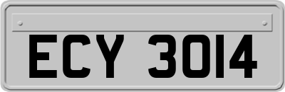 ECY3014