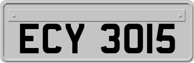 ECY3015