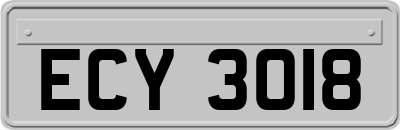 ECY3018
