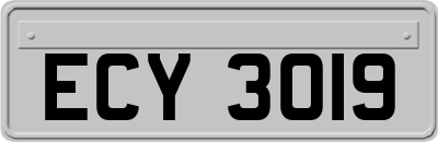 ECY3019