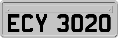ECY3020