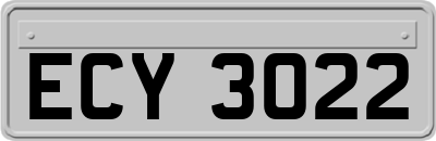 ECY3022