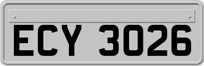 ECY3026