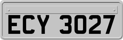 ECY3027