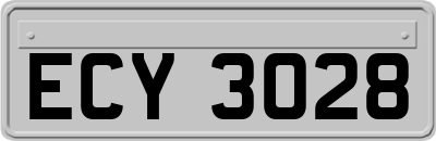 ECY3028