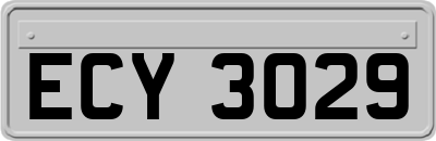 ECY3029