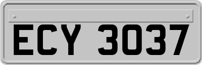 ECY3037