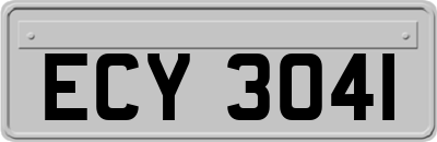ECY3041
