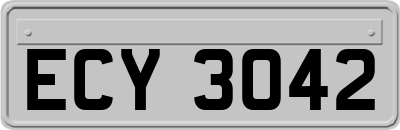 ECY3042