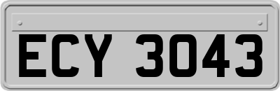 ECY3043