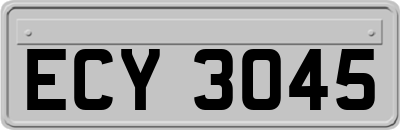 ECY3045