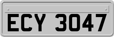 ECY3047