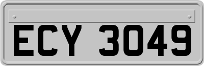 ECY3049