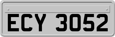 ECY3052