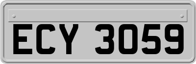 ECY3059