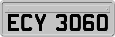 ECY3060