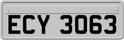 ECY3063