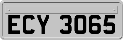 ECY3065