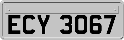 ECY3067