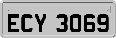 ECY3069