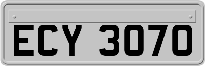 ECY3070