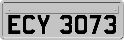 ECY3073