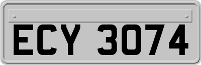 ECY3074
