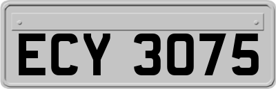 ECY3075