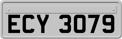 ECY3079